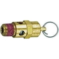 thumbnail image 1 of Tru Flate Air Tank Blow Off Valve 21-707 For Air Line Fittings; 1/4 Inch; 125 PSI, 1 of 4