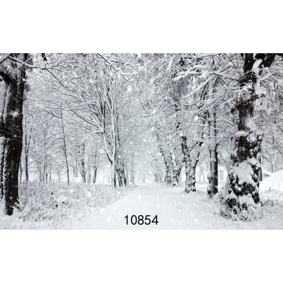 YUSDECOR 7x5ft Winter Background for Photography White Frozen Snow Backdrops Forest Tree Photo Backdrop