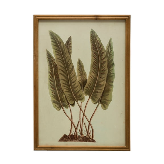 Creative Co-Op Wood Framed Botanical Print with Glass Cover, Multicolor