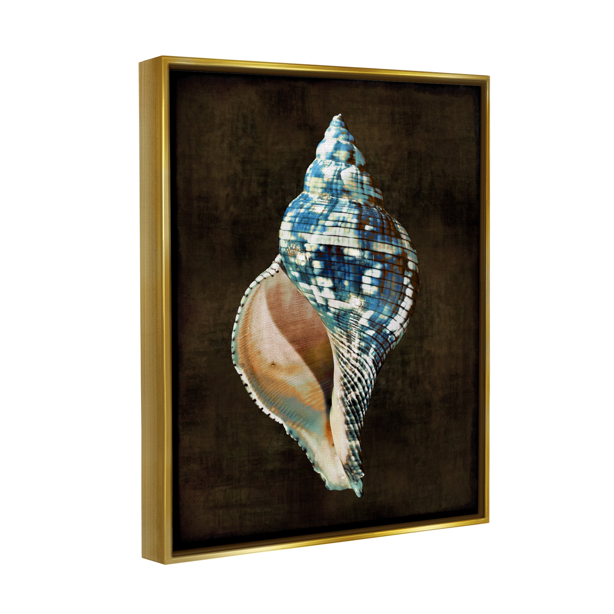 Stupell Industries Dark Patterned Conch Shell Nature Painting Gold Floater Framed Canvas Art Print Wall Art, 17 x 21