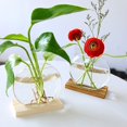 thumbnail image 2 of EIMELI Nordic Mini Creative Glass Clear Flower Vase Plant Bottle Hydroponic Terrarium Container Holder with Wood Stand Table Embellishment for Home Living Room Office Garden(Without Plant, 2 of 11