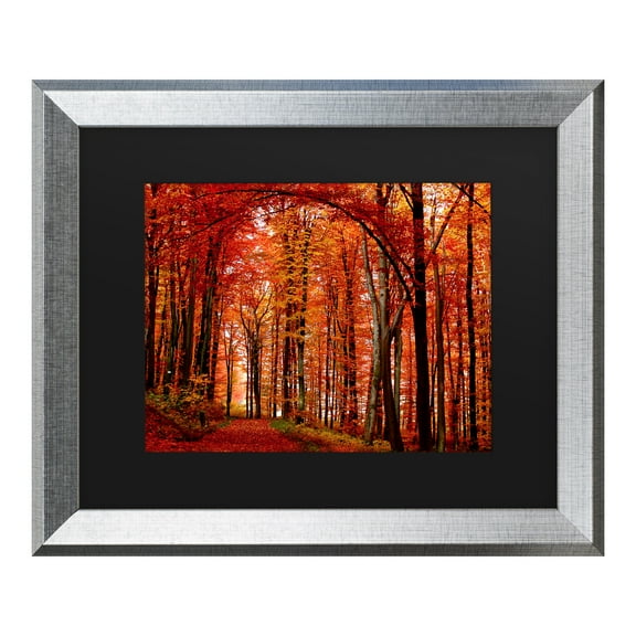 Trademark Fine Art 'The Red Way' Canvas Art by Philippe Sainte-Laudy