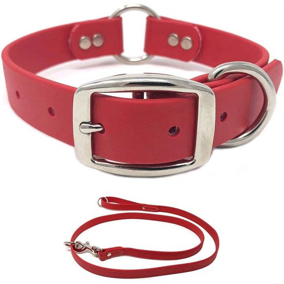 Regal Dog Products Waterproof Collar & Leash Set - Heavy Duty Center Ring Collar & 5' Leash
