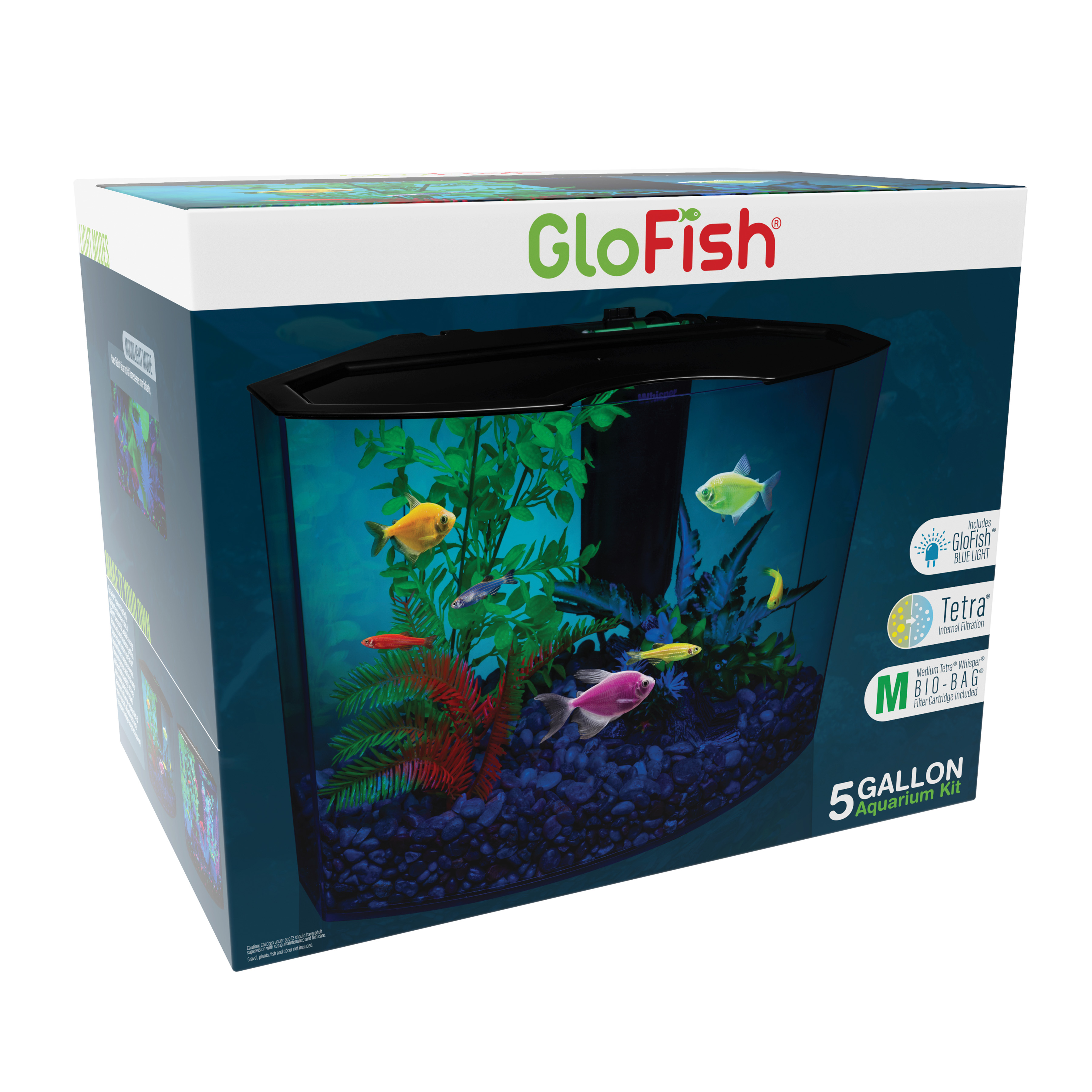 GloFish 5 Gallon Aquarium Kit with LED Light photo 4
