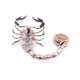 thumbnail image 1 of Anillos Dobles De Escorpión Punk, Anillos De Aleación De Diamantes De Imitación Pavimentados, Anillo Grande De Animal Con Personalidad Genial, Joyería De Estilo Rock Para Mujer Guardurnaity AP005952-00, 1 of 6