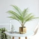 thumbnail image 2 of Bearachild Palmera Areca artificial de amplia aplicación de plástico, cualquier material espacial, árbol de imitación en maceta, decoración Decoración, 2 of 6