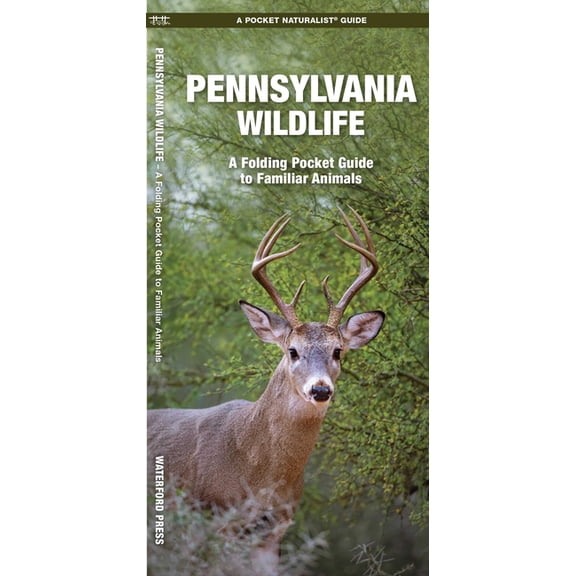 Wildlife and Nature Identification: Pennsylvania Wildlife : A Folding Pocket Guide to Familiar Animals (Other)