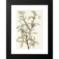 thumbnail image 2 of Mary Vaux Walcott 18x24 Black Modern Framed Museum Art Print Titled - Silverberry (Fruit). (Elaeagnus Changed) (1925), 2 of 5