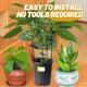 thumbnail image 4 of unbranded 1Jgo Soporte Para Plantas Trepadoras Con Marco Negro Ideal Para , Patios Y, 4 of 8