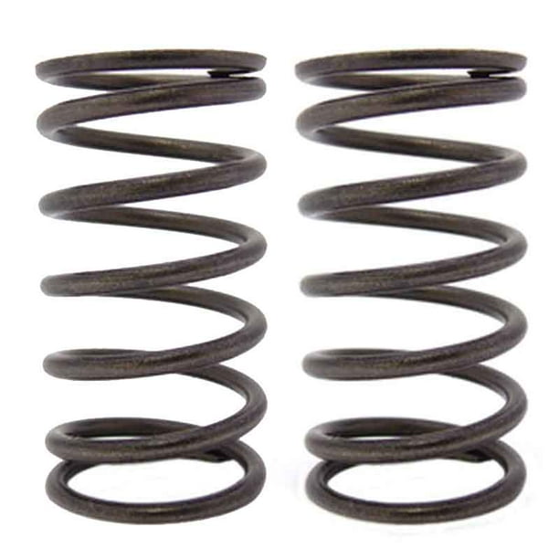 18 LB Valve Springs (Pair) Honda GX200, Predator 212 NonHemi Walmart