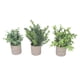 thumbnail image 5 of Plantas de Eucalipto en Macetas Falsas, 3 Paquetes Fáciles de Mantener Hermosas Plantas en Macetas artificiales Ecológicas para Elcritorio, 5 of 7