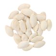 thumbnail image 4 of Bienvenido 20 Piezas Semillas de Calabaza Verde Semillas de Calabaza Verde Redondas Nativas Comestibles para el Hogar Jardines Patios Balcones, 4 of 8