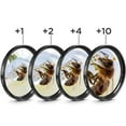 thumbnail image 2 of tredstone Close-up Filter Kit +1 +2 +4 +10 Lens Set for Digital Cameras 62mm, 2 of 9