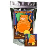 Fat Belly Cats Gummy Orange Flavored Fruit Jelly Discs Funny Unique Easter Basket Stuffer Candy Gift Birthday for Girl, Boy & Teens