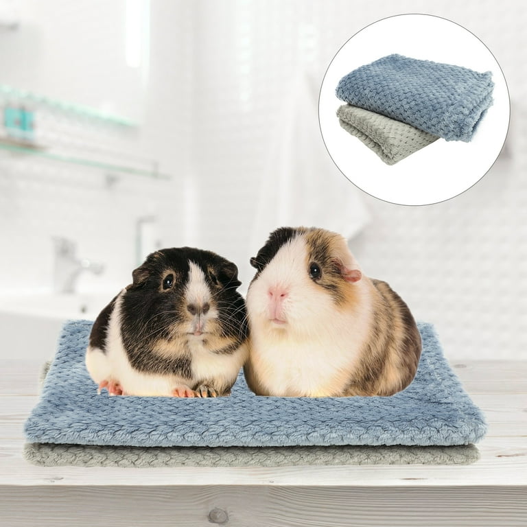 Blanket over top guinea pig cage