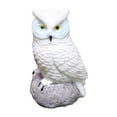 thumbnail image 2 of Owl Landscape Garden Decoration Miniature Owl Figurines Landscape Figurines for Bonsai Crafts Dollhouse Plant Pot White, 2 of 9