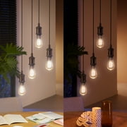 Philips Hue White Ambiance Filament ST19 Bluetooth LED Bulb, Black, 60-Watts