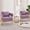 Velvet Purple, variant on Modern Barrel Accent Chairs Set of 2, Living Room Side Chairs with Golden Metal Legs Velvet Upholstered Reading Armchairs no Wheels for Vanity/Reception Room//Bedroom/Lounge/Office, Purple