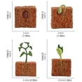thumbnail image 3 of Simulación del ciclo de vida de una planta de frijol verde, modelo de ciclo de crecimiento, colección de figuras de acción, juguetes educativos de ciencia para niños, 3 of 5