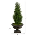 thumbnail image 2 of Nearly Natural 3.5' Mini Cedar Artificial Pine Tree in Urn UV Resistant, 2 of 4