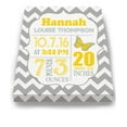 thumbnail image 2 of Personalized Canvas Birth Announcement Nursery Decor Gift, Butterfly Design, Custom Name, Date, Weight & Length, Unique Boys & Girls Baby Shower Wall Art Presents, Color Gray # 2, Size - 8X10, 2 of 5