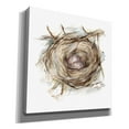 thumbnail image 2 of Epic Graffiti 'Bird Nest Study IV' by Ethan Harper, Canvas Wall Art, 26"x26", 2 of 2