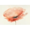 thumbnail image 2 of Prior, J.P. 14x11 White Modern Wood Framed Museum Art Print Titled - Chiffon Poppy, 2 of 4