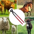 thumbnail image 4 of Tondeuse à Sabots pour Chevaux, Haute Dureté Fonctionnel pour Alpagas pour Moutons, 4 of 7