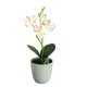 thumbnail image 4 of Bonsái Artificial Toystoory no tóxico y duradero regalo para el día de la madre planta Artificial exquisita blanca hecha a mano, 4 of 6