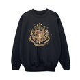 thumbnail image 1 of Harry Potter Boys Gold Hogwart Crest Sweatshirt, 1 of 3