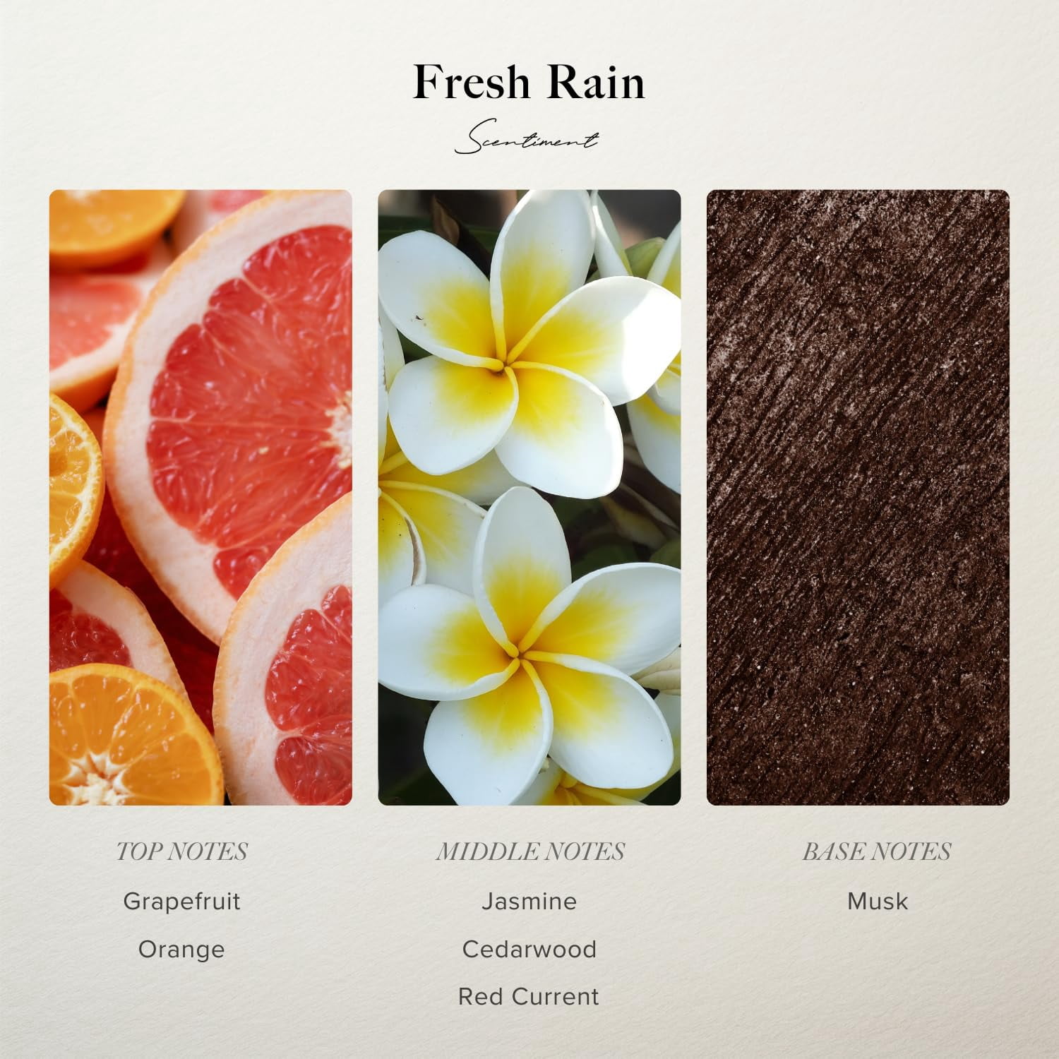 Scentiment Fresh Rain Fragrance Oil – 120ml | Luxury Aromatherapy Diffuser Oil | Notes of Grapefruit, Orange, Cedarwood, Jasmine & Musk