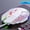Sound-White, variant on 3200DPI Ergonomic Wired Gaming Mouse USB Mouse Gaming RGB Mause Gamer Mouse 6 Button LED Silent Mice for PC Laptop Computer