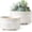 Reactive Glaze White, variant on Succulent Pots, 6.5+8 Inch Ceramic Indoor Plant Pot with Drainage Hole, Shallow Round Succulent Planters, Set of 2, Reactive Glaze Star White
