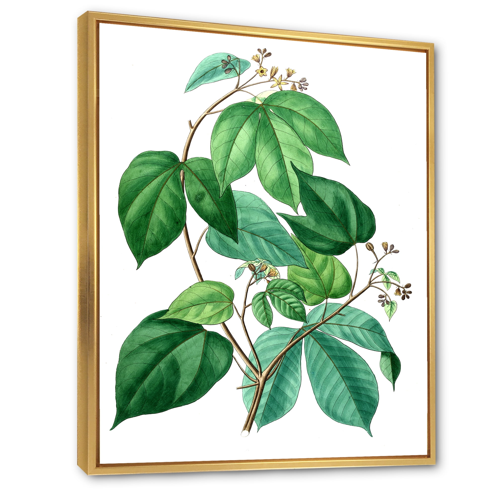 Designart 'Ancient Green Leaves Plants III' Traditional Framed Canvas Wall Art Print