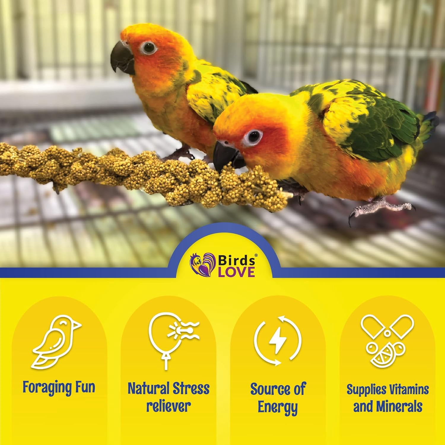 Birds LOVE Economy & Special Spray Millet for Birds, No Stems Non-GMO Sun-Dried Edible Millet Tops for Cockatiels, Lovebirds, Parakeets, Finches & Canaries, 2 lb