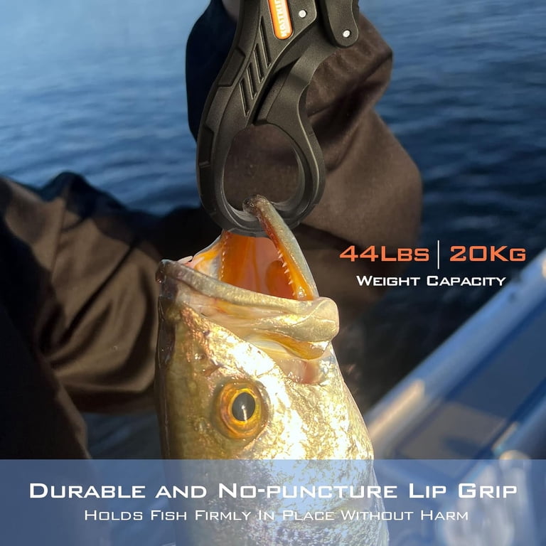 shimano blue water rod Talavera Bluewater Conventional : Sports & Outdoors Color:Snowbird Freshwater Hard Bait Aftco and ALPS components Choosing The Proper Rod