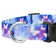 Country Brook Petz® Deluxe Watercolor Butterflies Dog Collar Made In