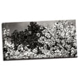 thumbnail image 2 of Gango Home Decor Spring Dogwood II by Alan Hausenflock (Ready to Hang); One 36x18in Hand-Stretched Canvas, 2 of 4