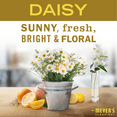 thumbnail image 4 of Mrs. Meyer's Clean Day Liquid Hand Soap, Daisy Scent, 12.5 oz (Pack of 2), 4 of 11