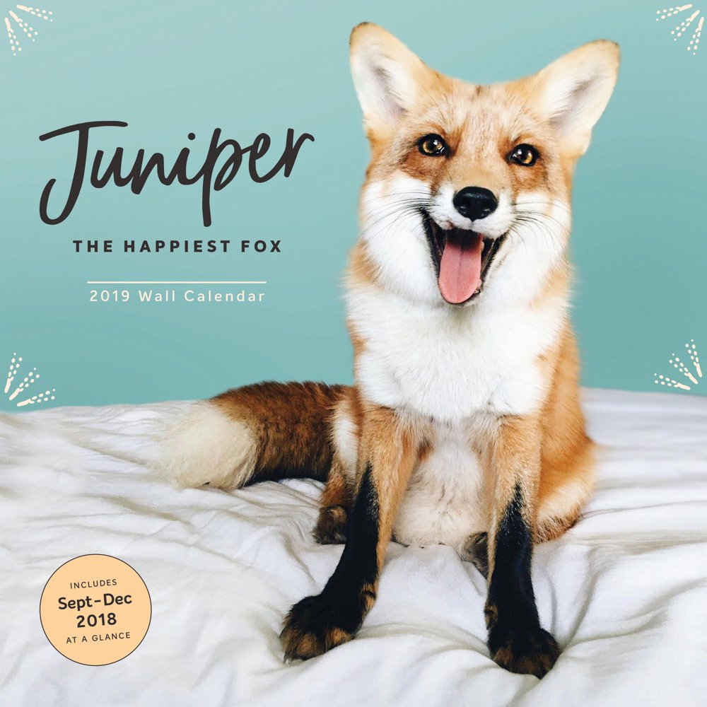 juniper fox shirt