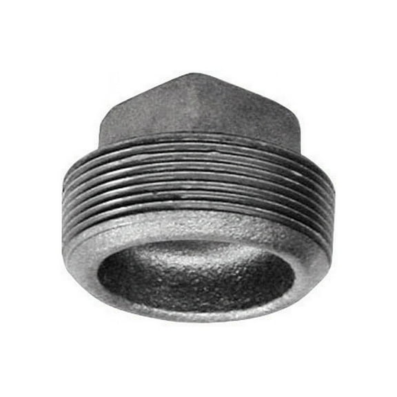 B&K Industries Iron Plug Galvanized - 1.25"