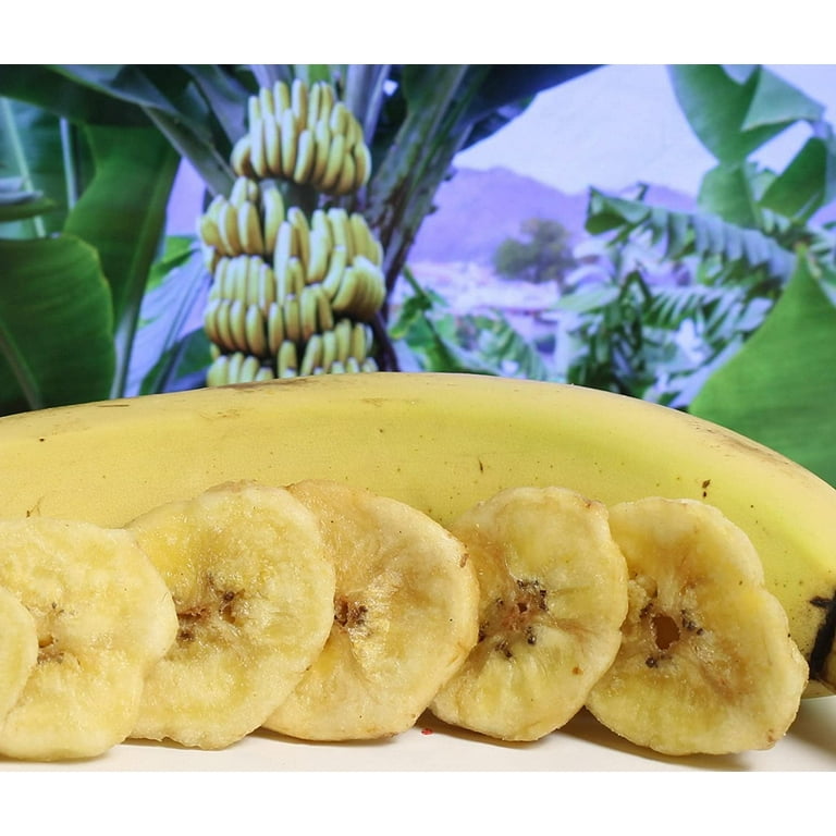Buy Organic Dried Banana Slices