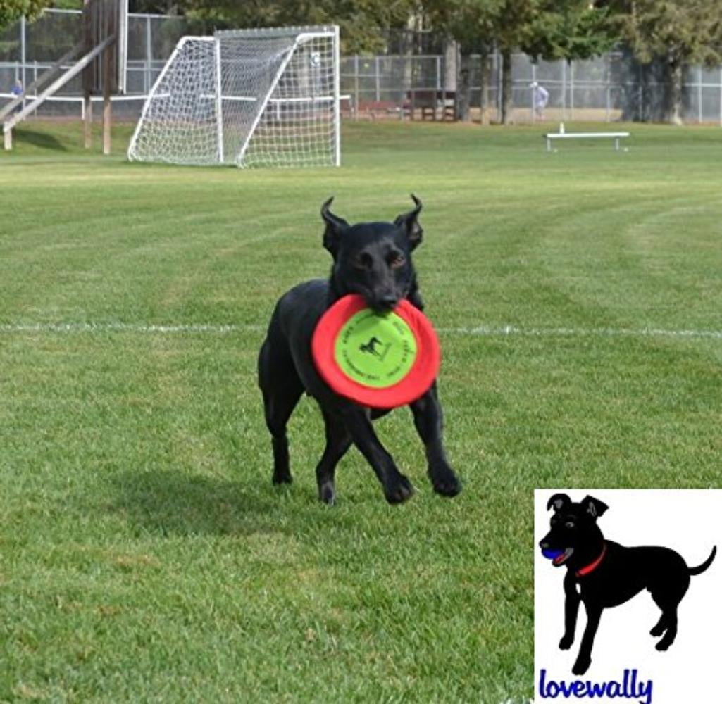 soft bite floppy disc dog toy