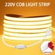 thumbnail image 2 of Cinta LED adhesiva de 220 V, tira LED COB de alto brillo para habitación, tira LED impermeable, cinta flexible para iluminación de jardín al aire libre, 2 of 5