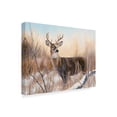 thumbnail image 2 of Trademark Fine Art 'Big Buck' Canvas Art by Rusty Frentner, 2 of 3