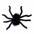 thumbnail image 2 of Pinces à Cheveux Accessoires pour Cheveux pour Femmes Filles Fête d'Halloween, 2 of 2