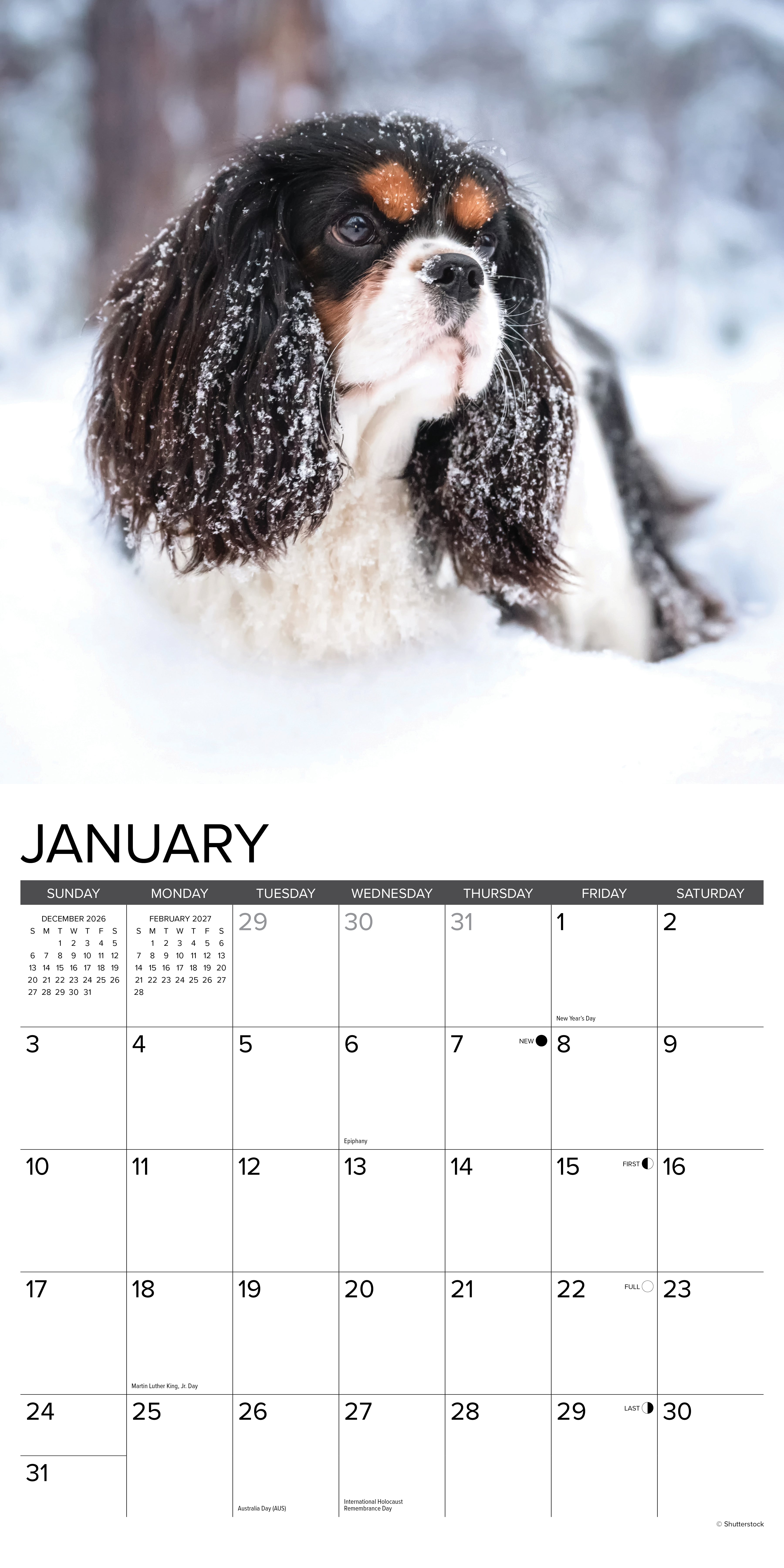 Willow Creek Press, Cavalier King Charles Spaniels 2027 Wall Calendar