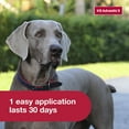 thumbnail image 6 of K9 Advantix II Monthly Flea & Tick Prevention for XL Dogs 55 lbs+, 4-Monthly Treatments, 6 of 11