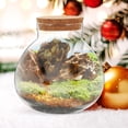 thumbnail image 2 of 2Pcs Spherical Terrarium Container for Gardening and DIY Enthusiasts, 2 of 9