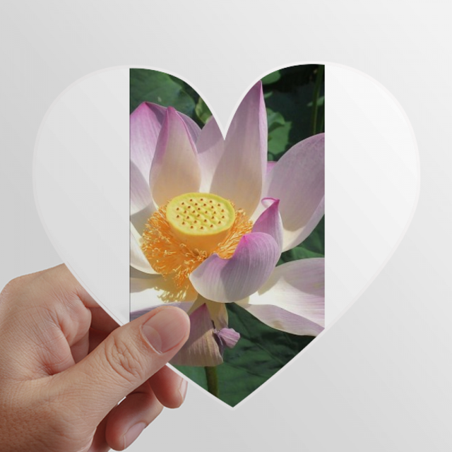 Lotus verano perfecto Calcomanías cardíacas,calcomanías para equipaje